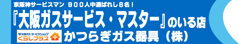 KXT[rX}X^[̂X